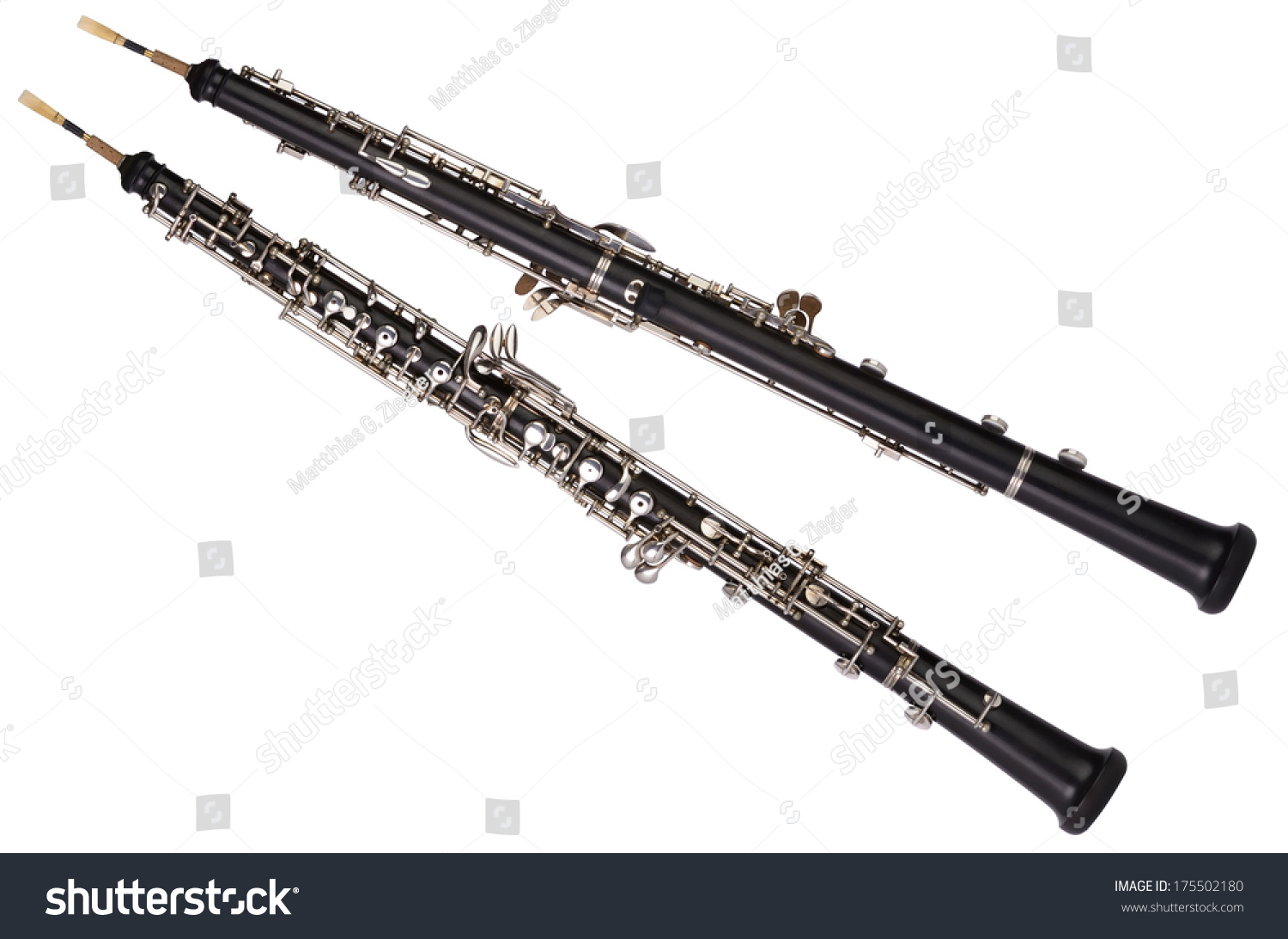 Oboe 앞 및 후면 Studio Shot 스톡 사진 175502180 Shutterstock