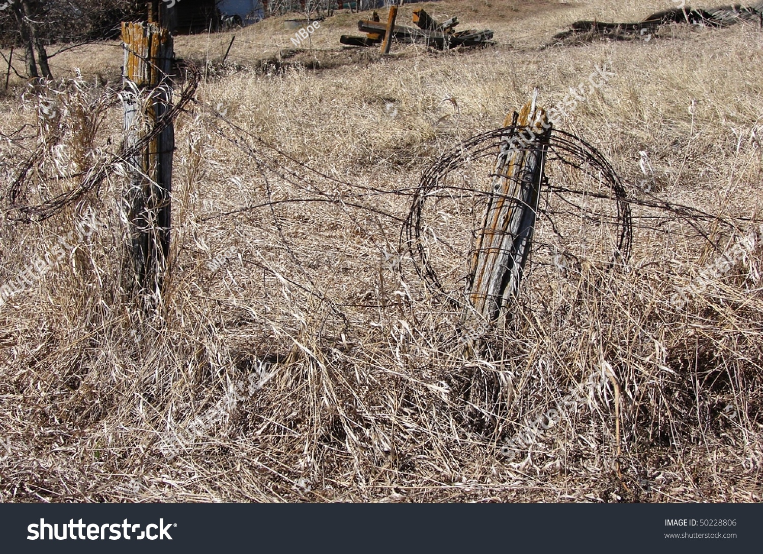 Old Barbed Wire Fence Old Barbed Wire Fence