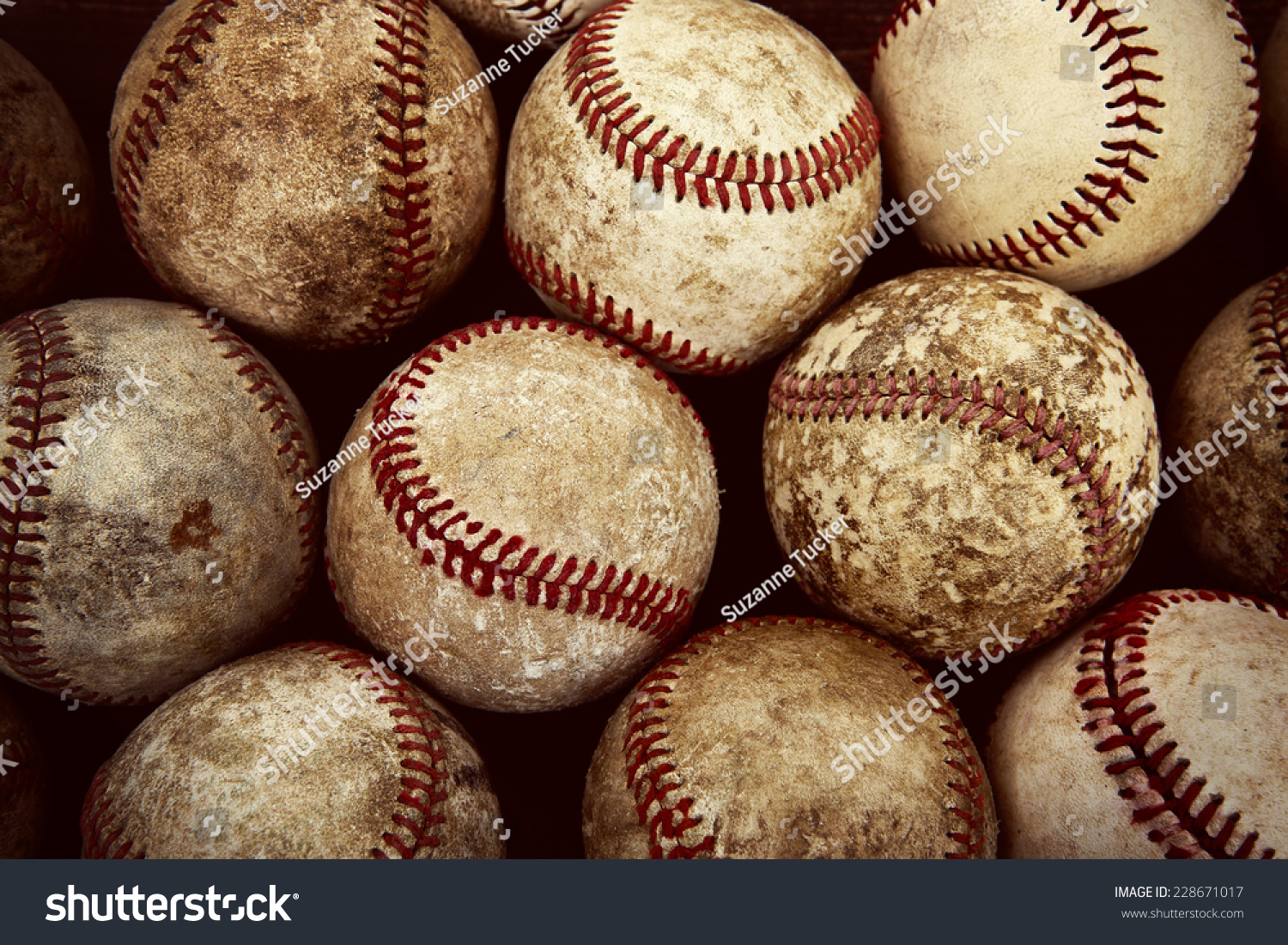 Vintage Baseball Photo 116