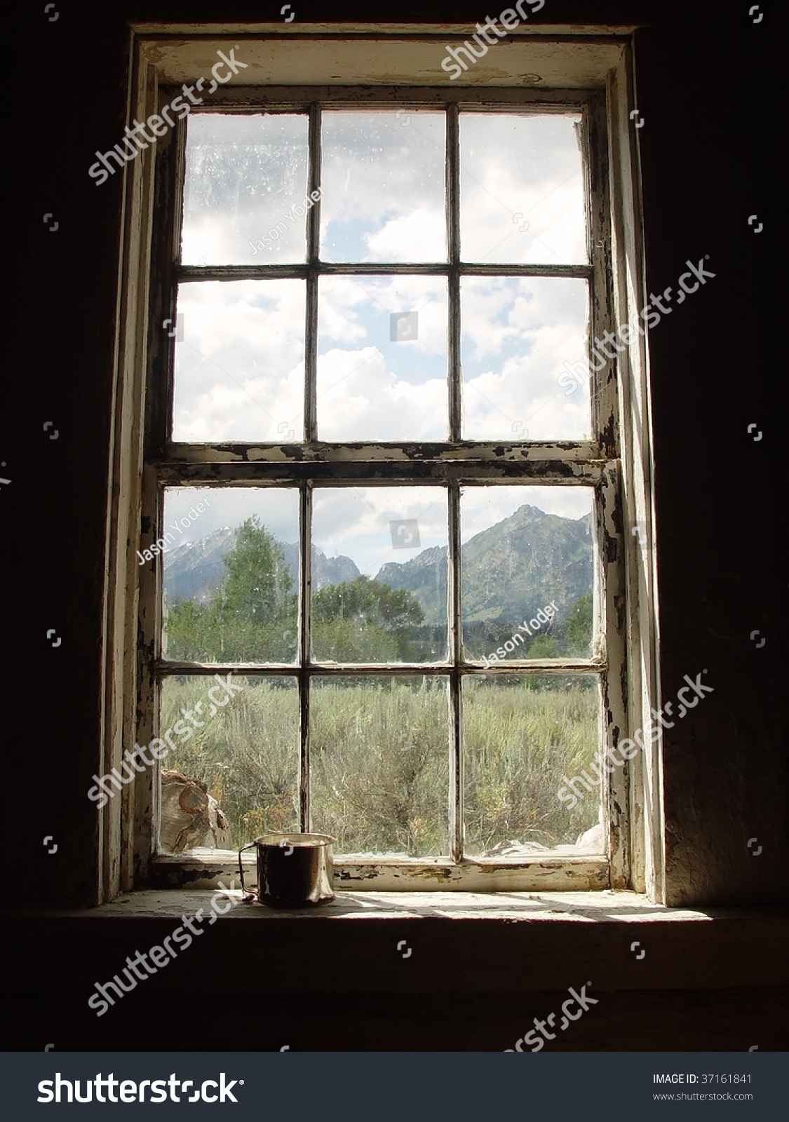 Window With A Small Cup Looking Outside Window Small Cup Looking Outside Stock Photo 37161841