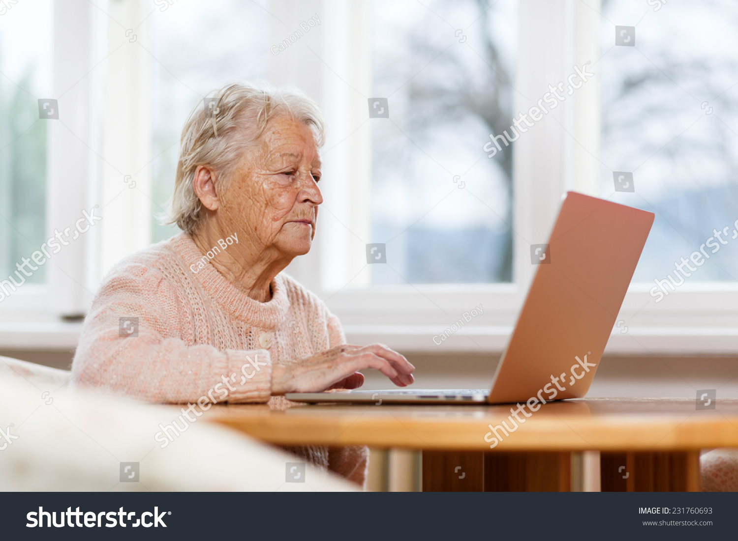 [Bild: stock-photo-old-woman-working-on-laptop-...760693.jpg]