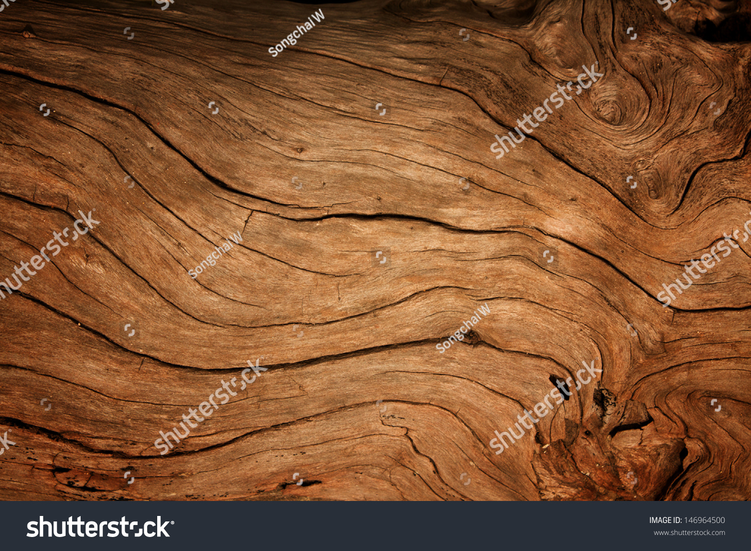 Old Wood Background Stock Photo 146964500 : Shutterstock