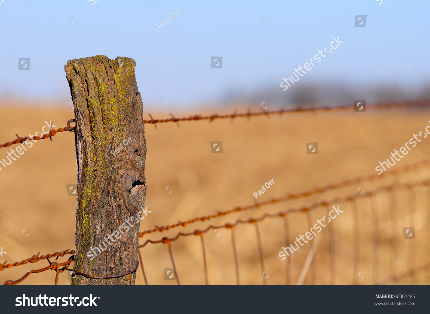 Old Barbed Wire Fence Old Barbed Wire Fence