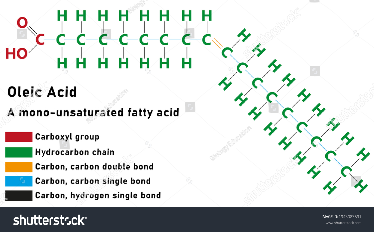 Oleic Acid Fatty Acid Colour Image Stock Illustration