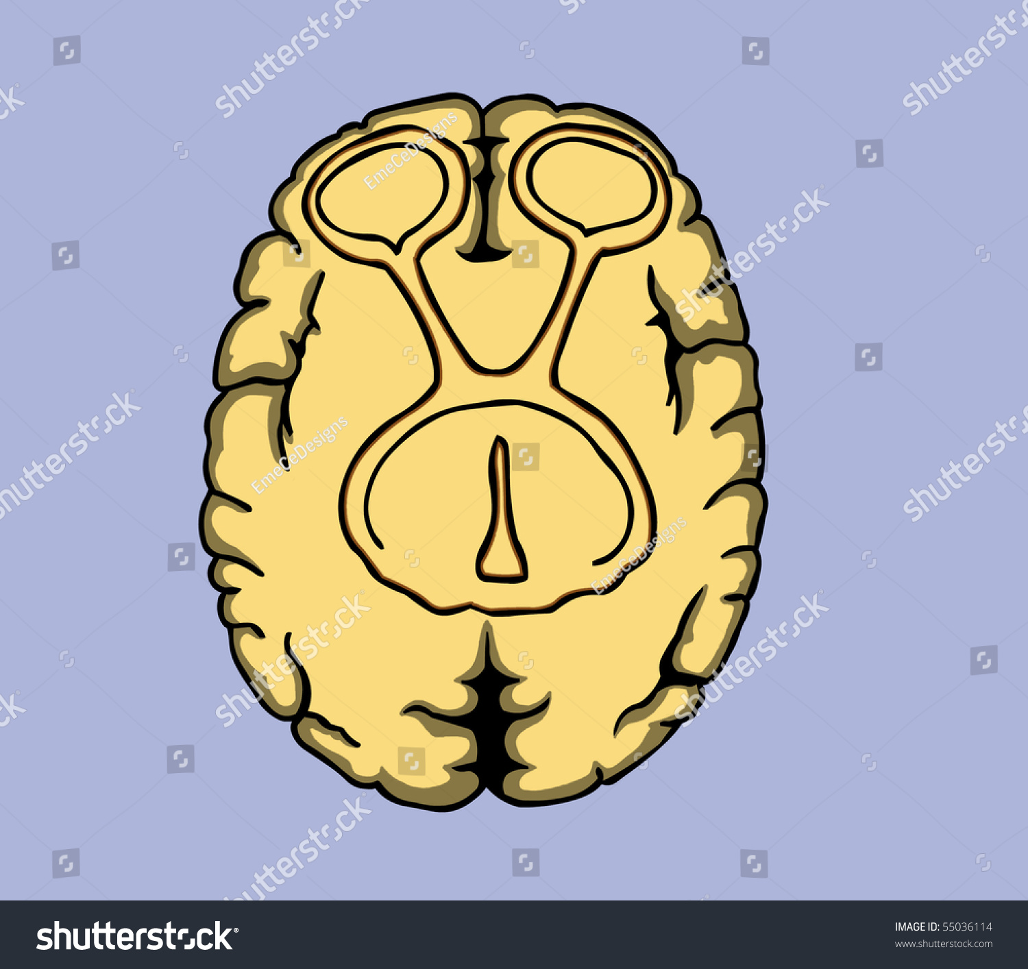 Optical Nerve Scheme Stock Illustration 55036114 - Shutterstock