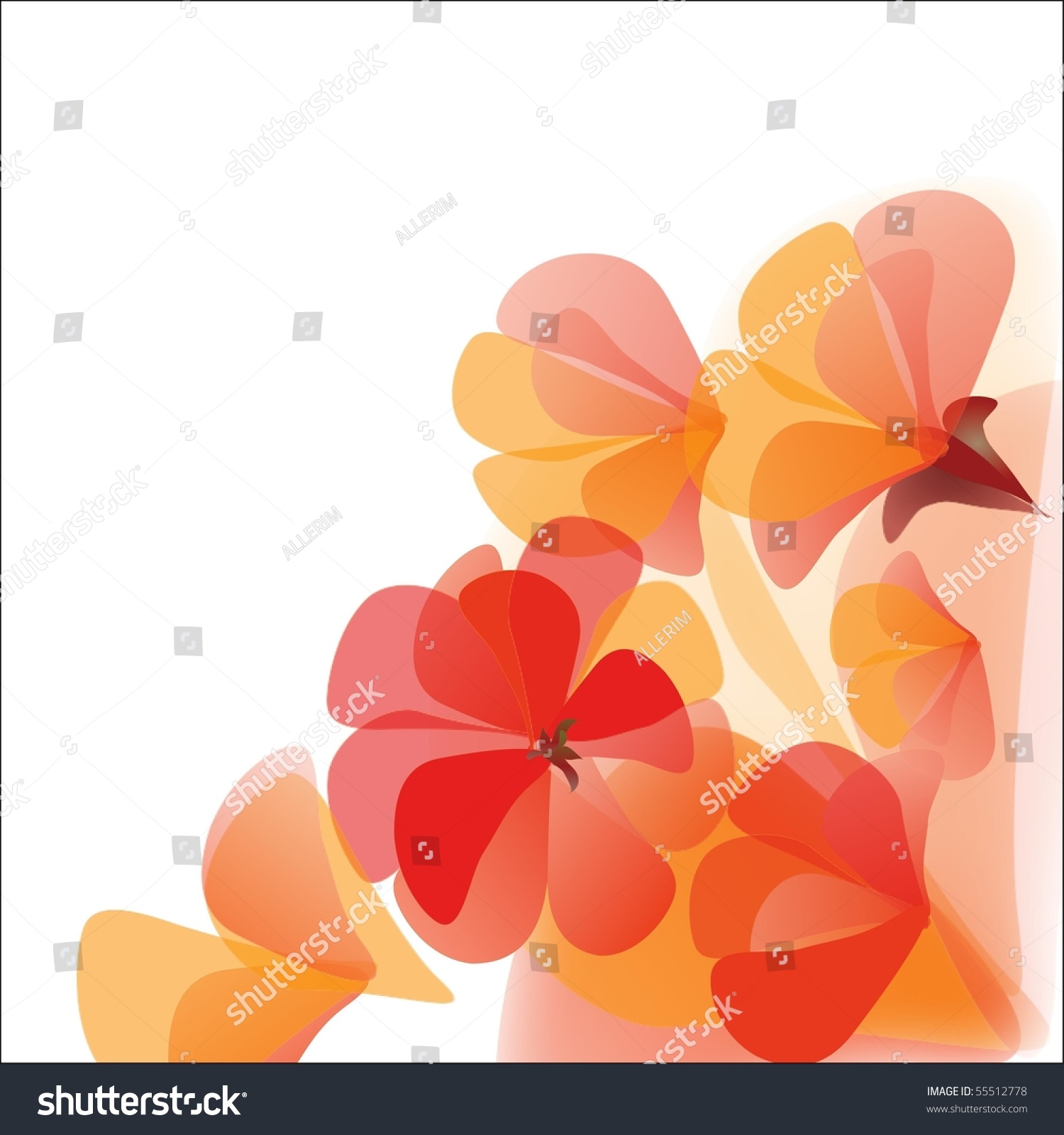 Orange Red Flowers Isolated On White Stock Illustration 55512778
