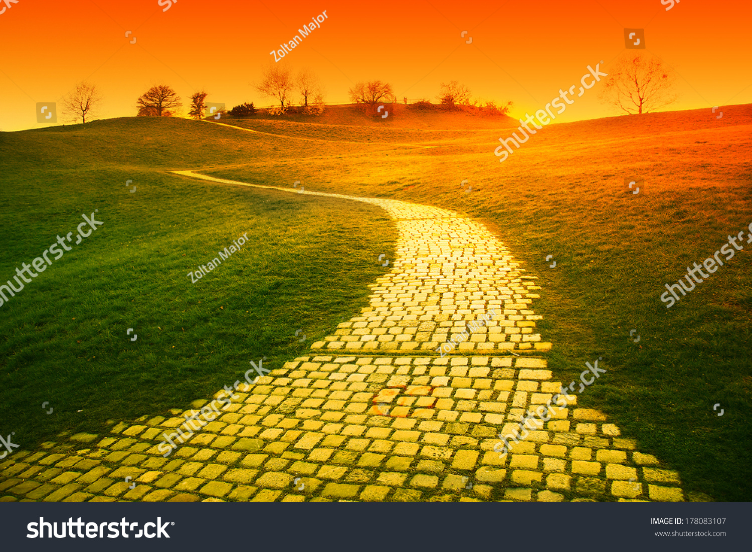 26 405 Yellow Brick Road Images Stock Photos Vectors Shutterstock