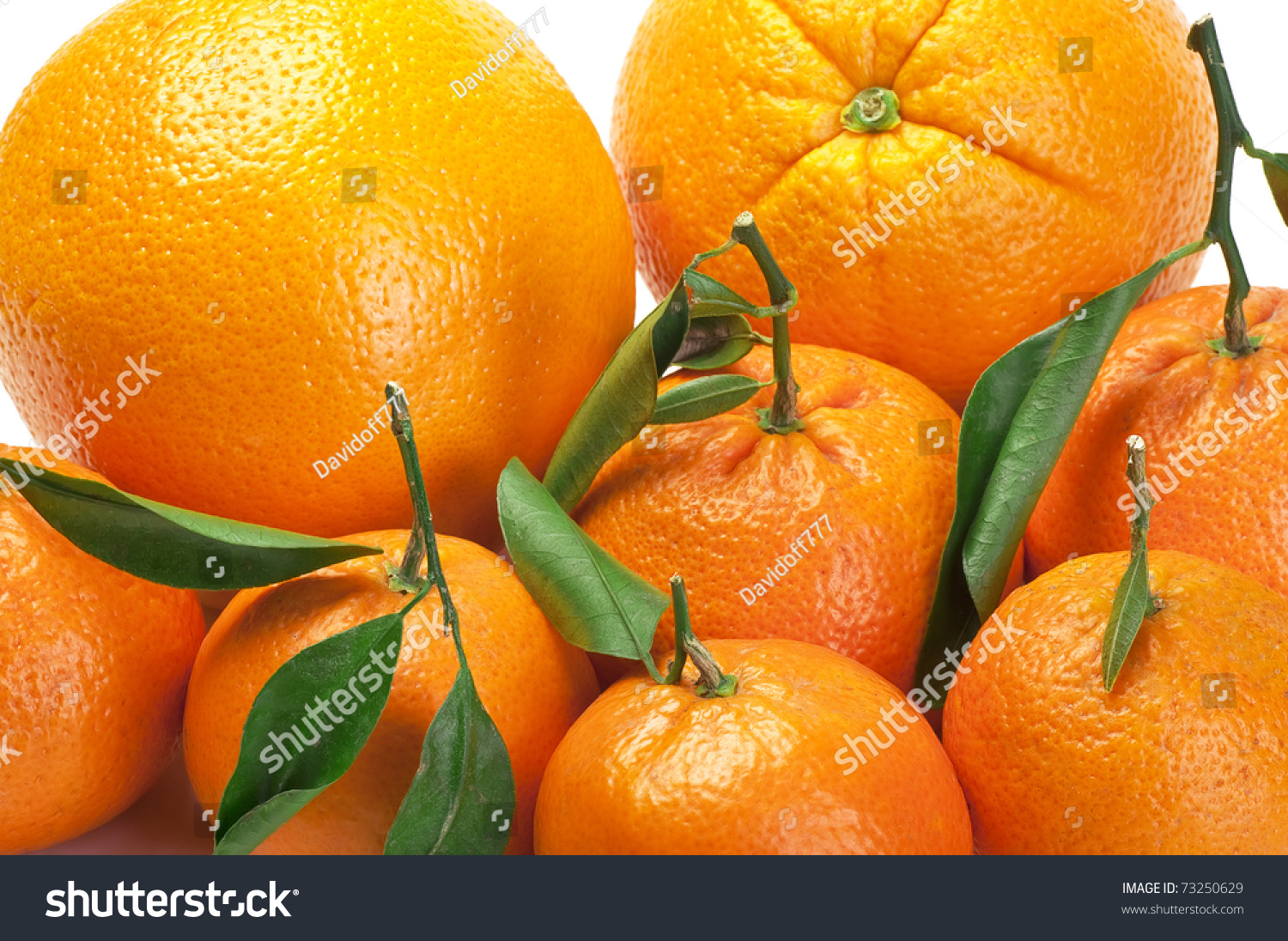 Oranges And Tangerines Of Orange Color Sweet Isolated A White