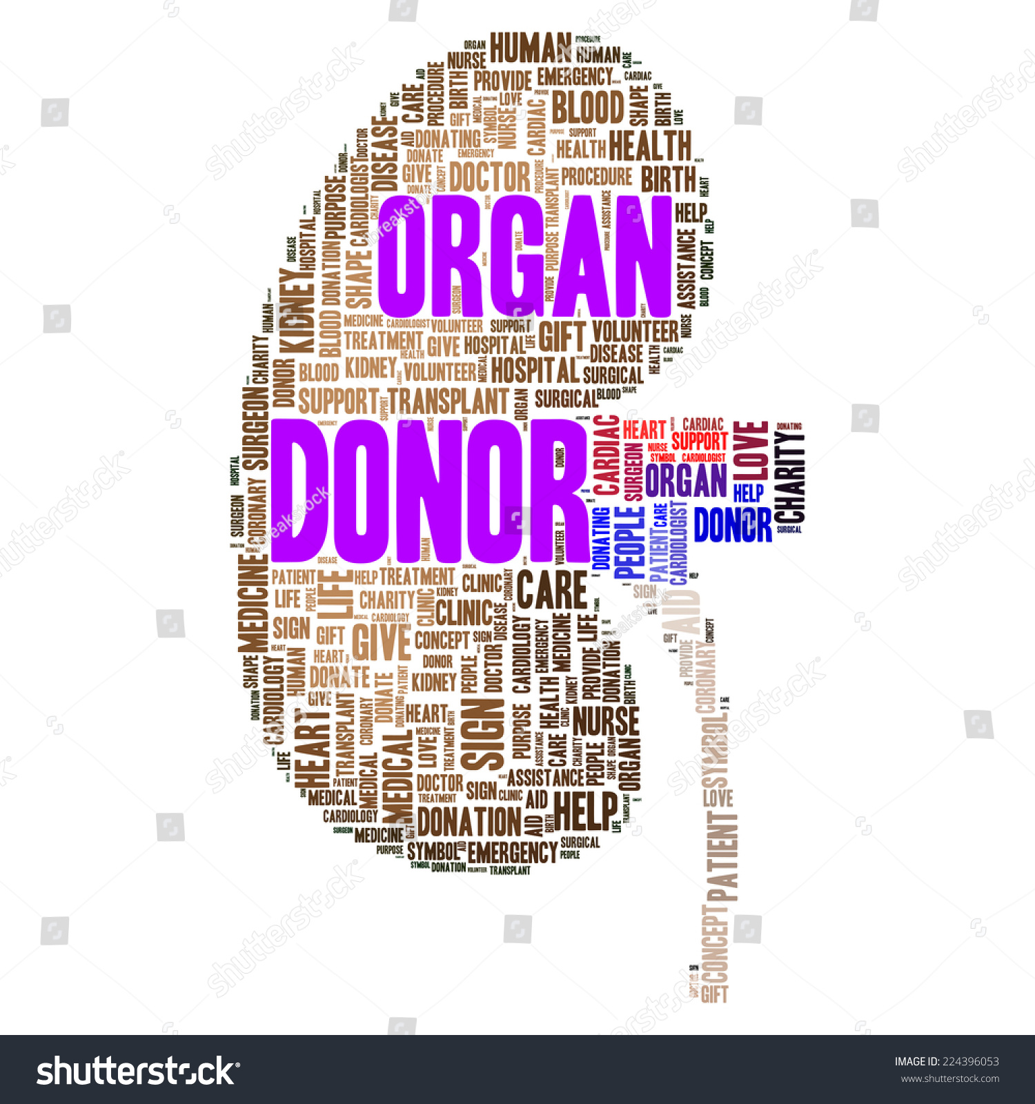 organ donor clipart - photo #50