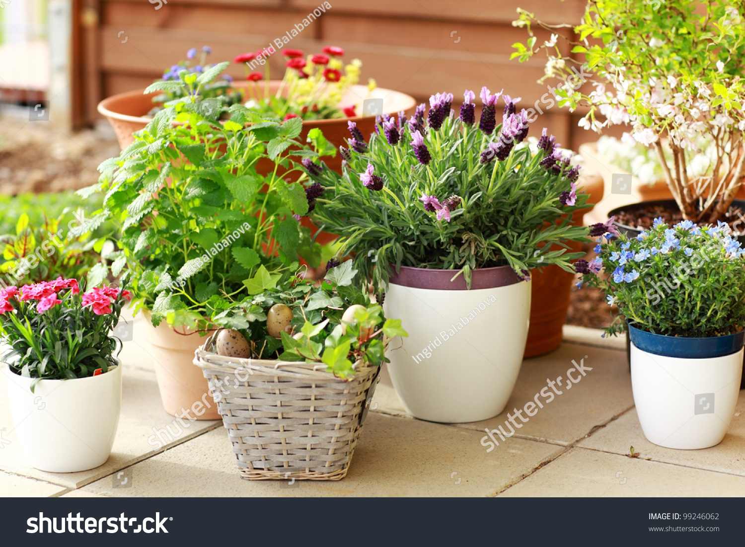 Outdoor Flower Pots For Small Garden, Patio Or Terrace Stock Photo