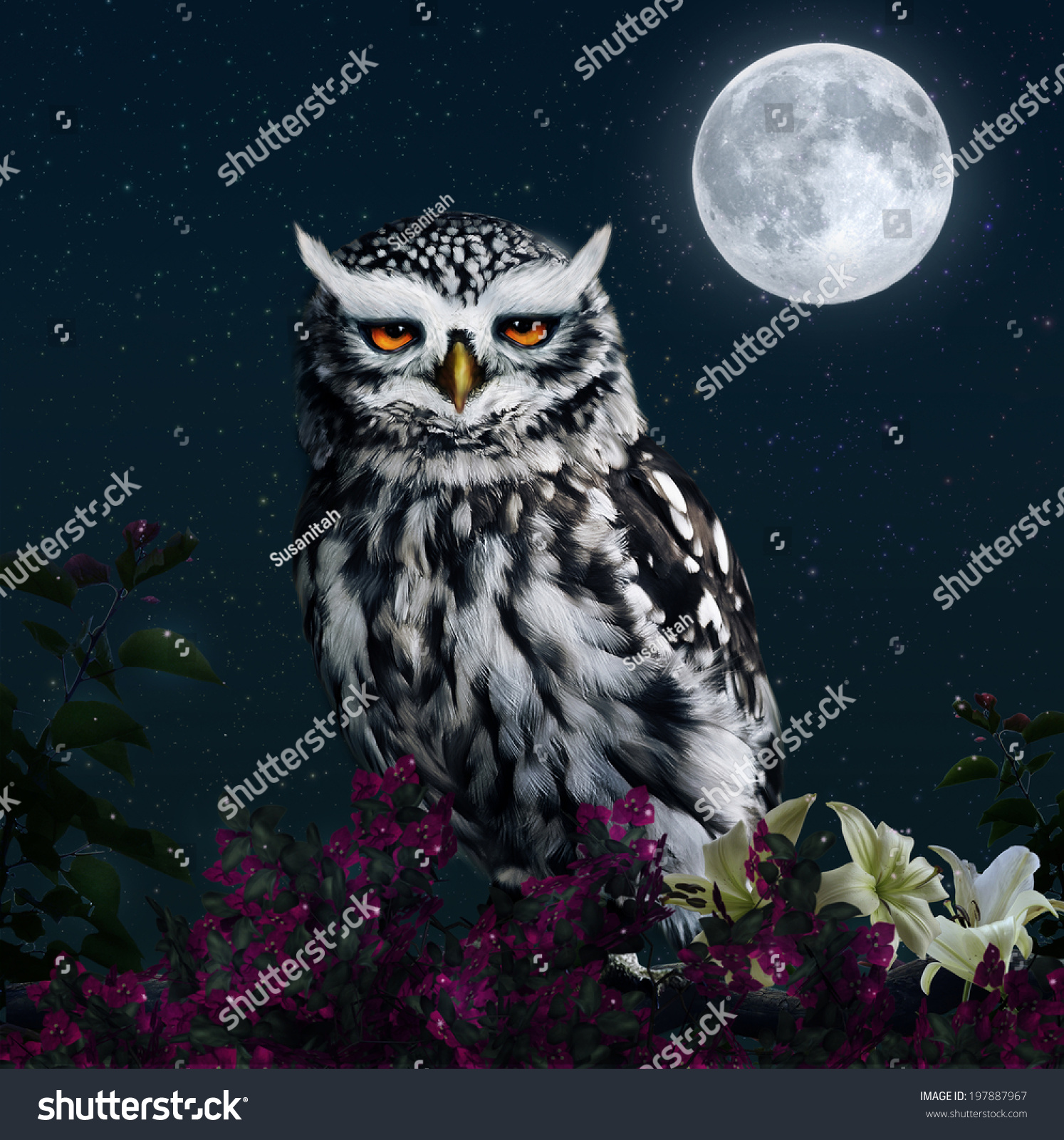 Owl In The Night With Full Moon. Elements Of The Image Furnished By ...