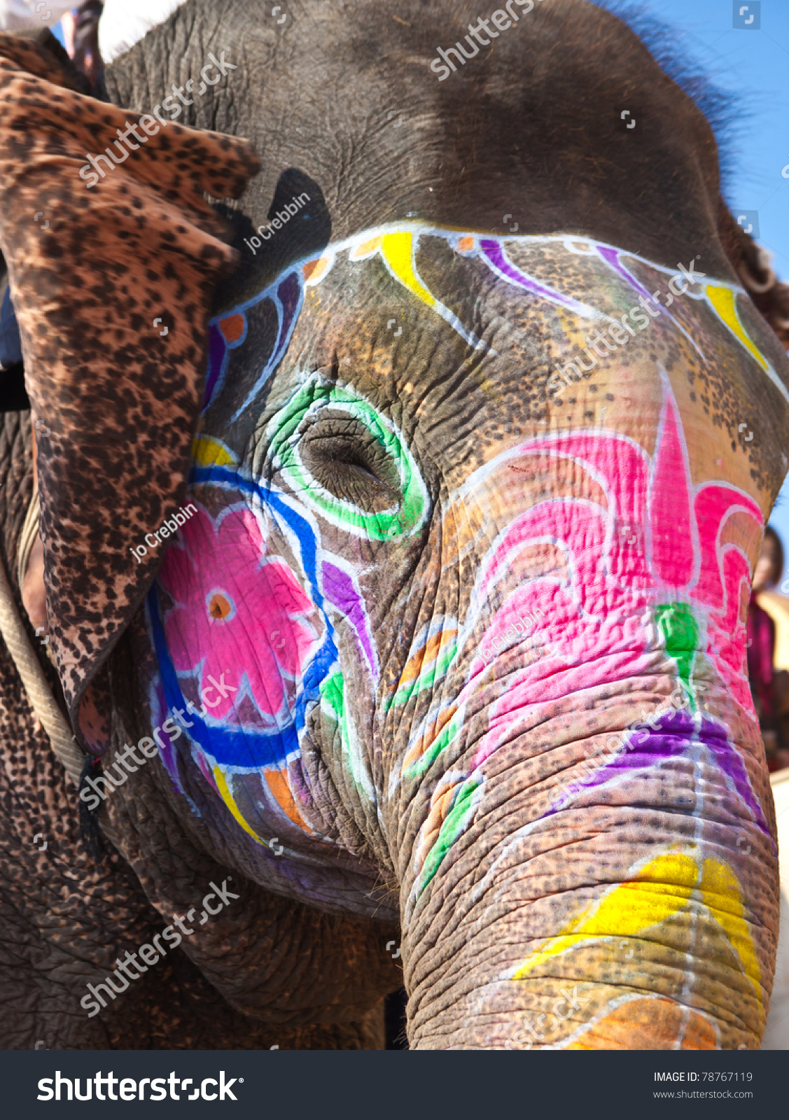 elephant toy that flaps ears