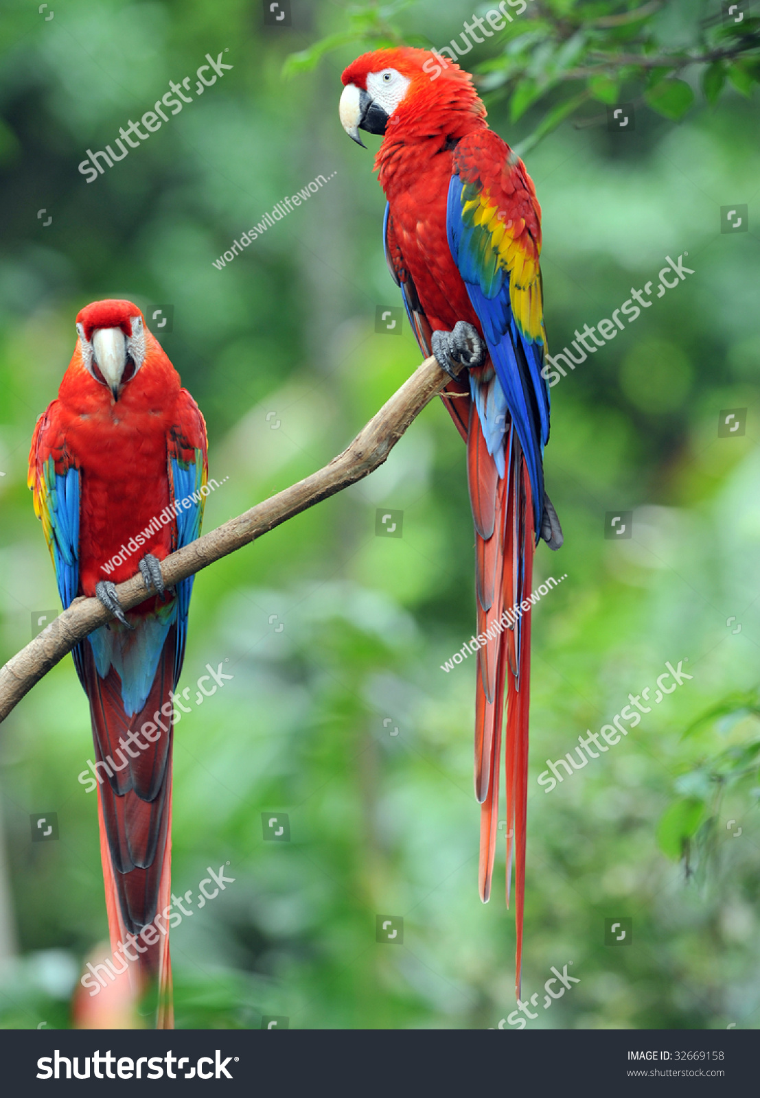 ... colorful pa...