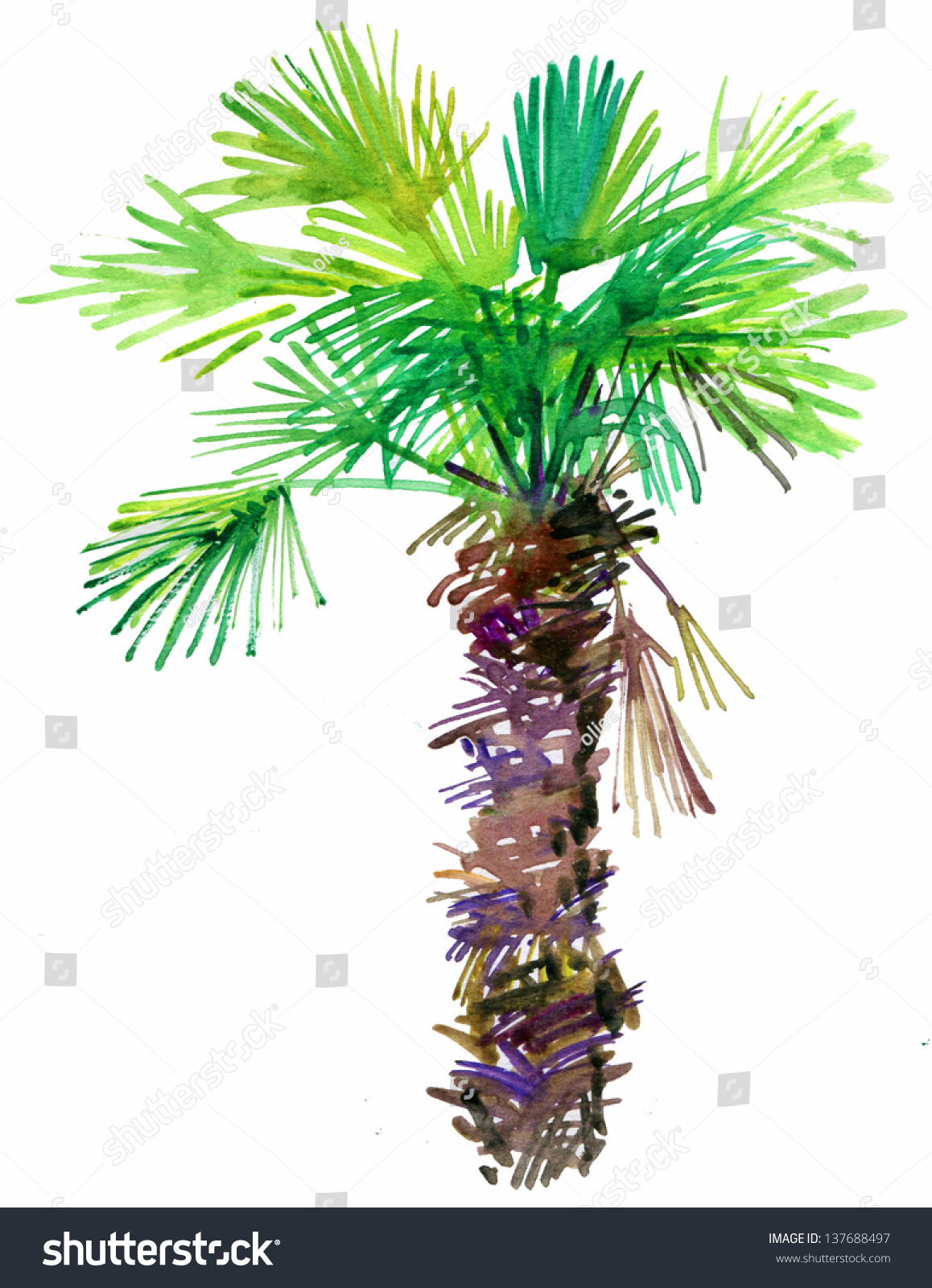 palm-tree-watercolor-painting-stock-photo-137688497-shutterstock