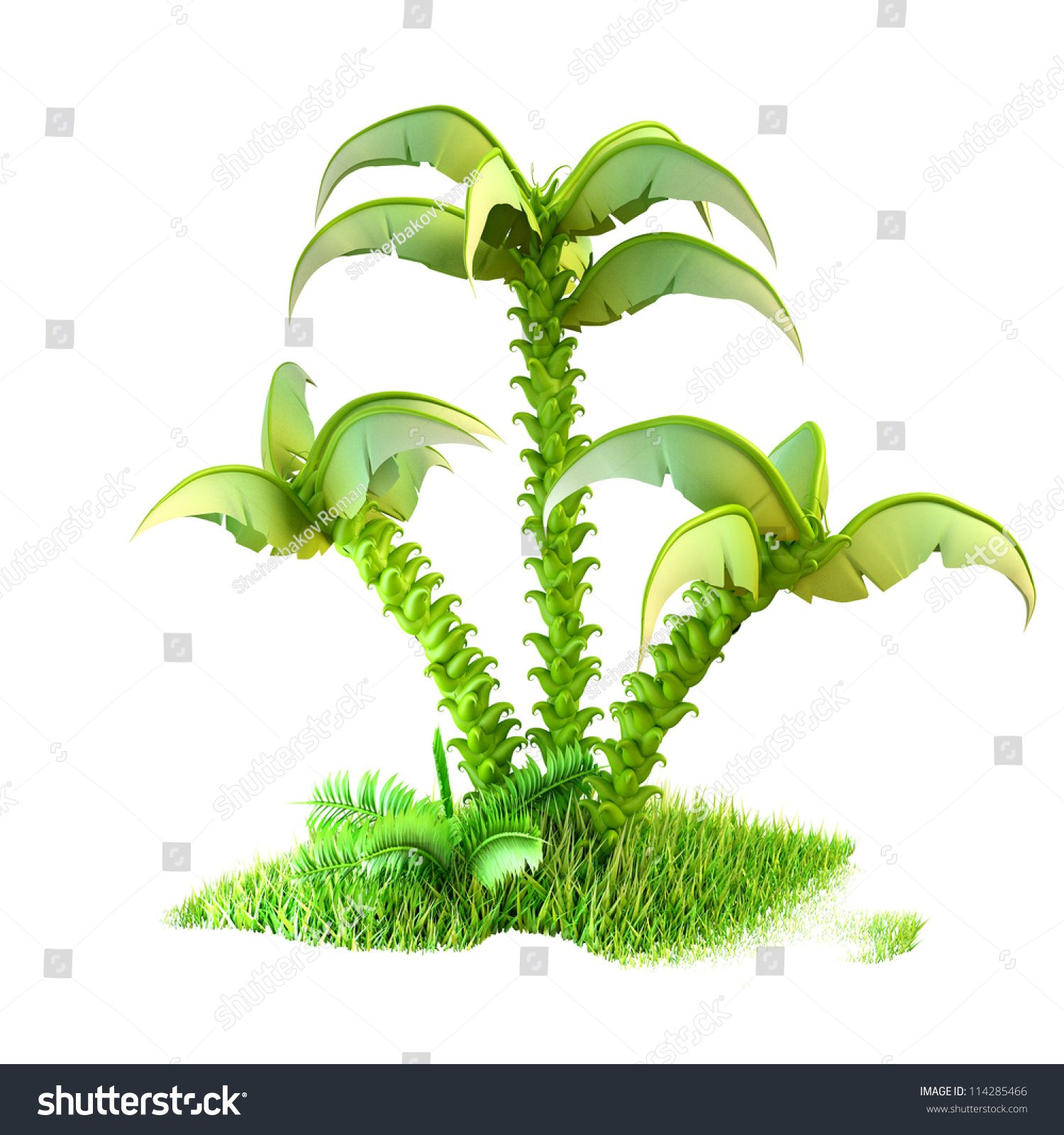 Palm Trees Stock Photo 114285466 : Shutterstock