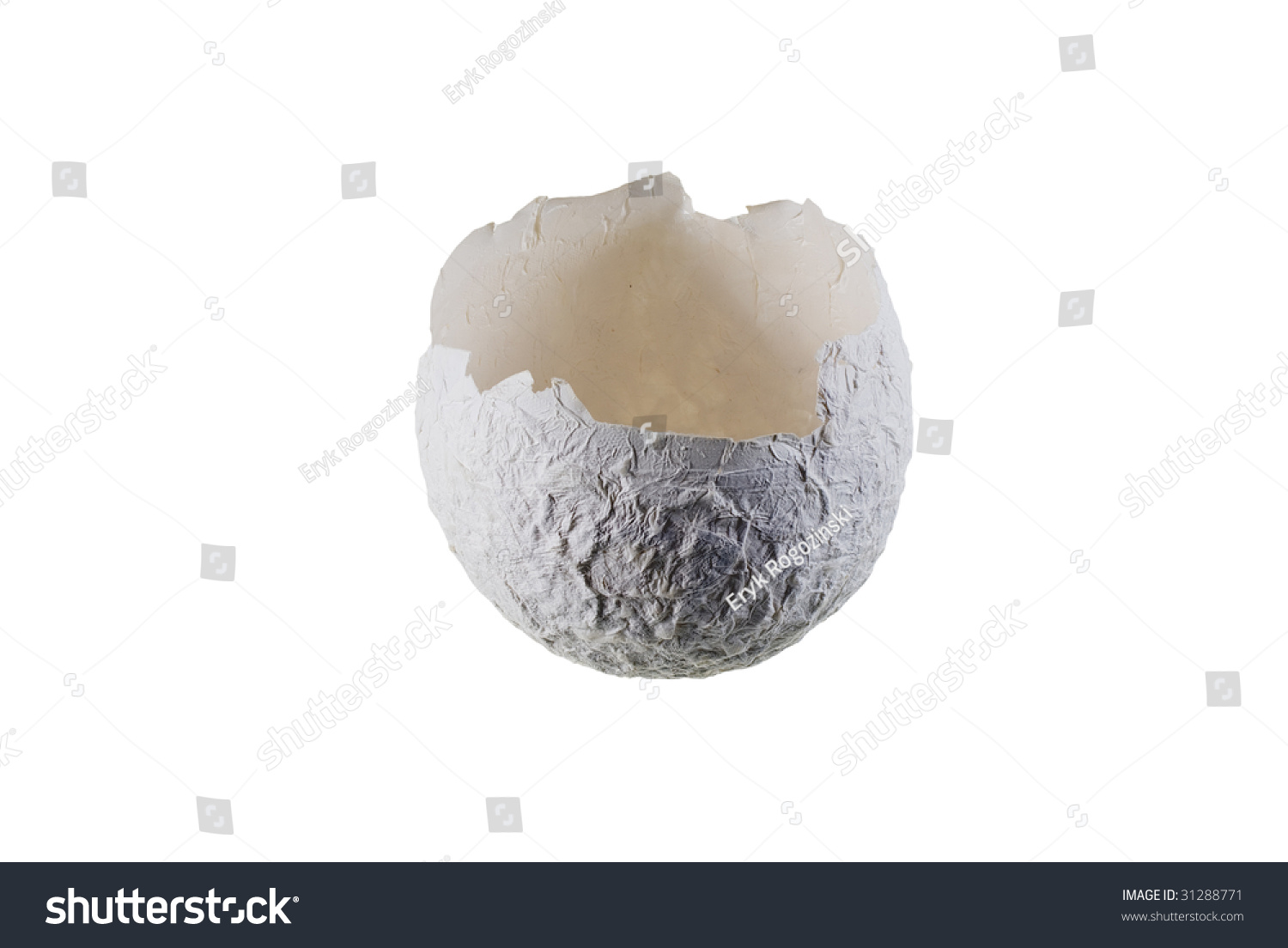 broken dinosaur egg