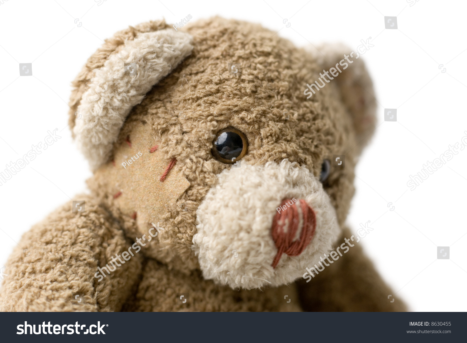 teddy bear with eye patch