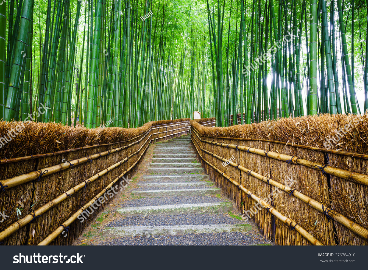 Path To Bamboo Forest, Arashiyama, Kyoto, Japan 스톡 사진 276784910 ...