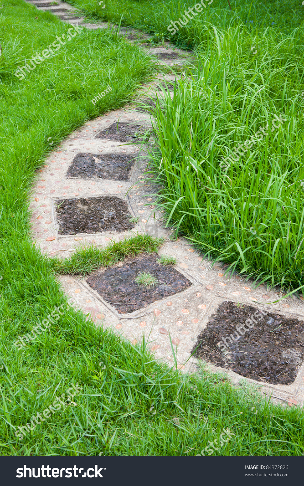 Pathway Through The Yard Stock Photo 84372826 : Shutterstock