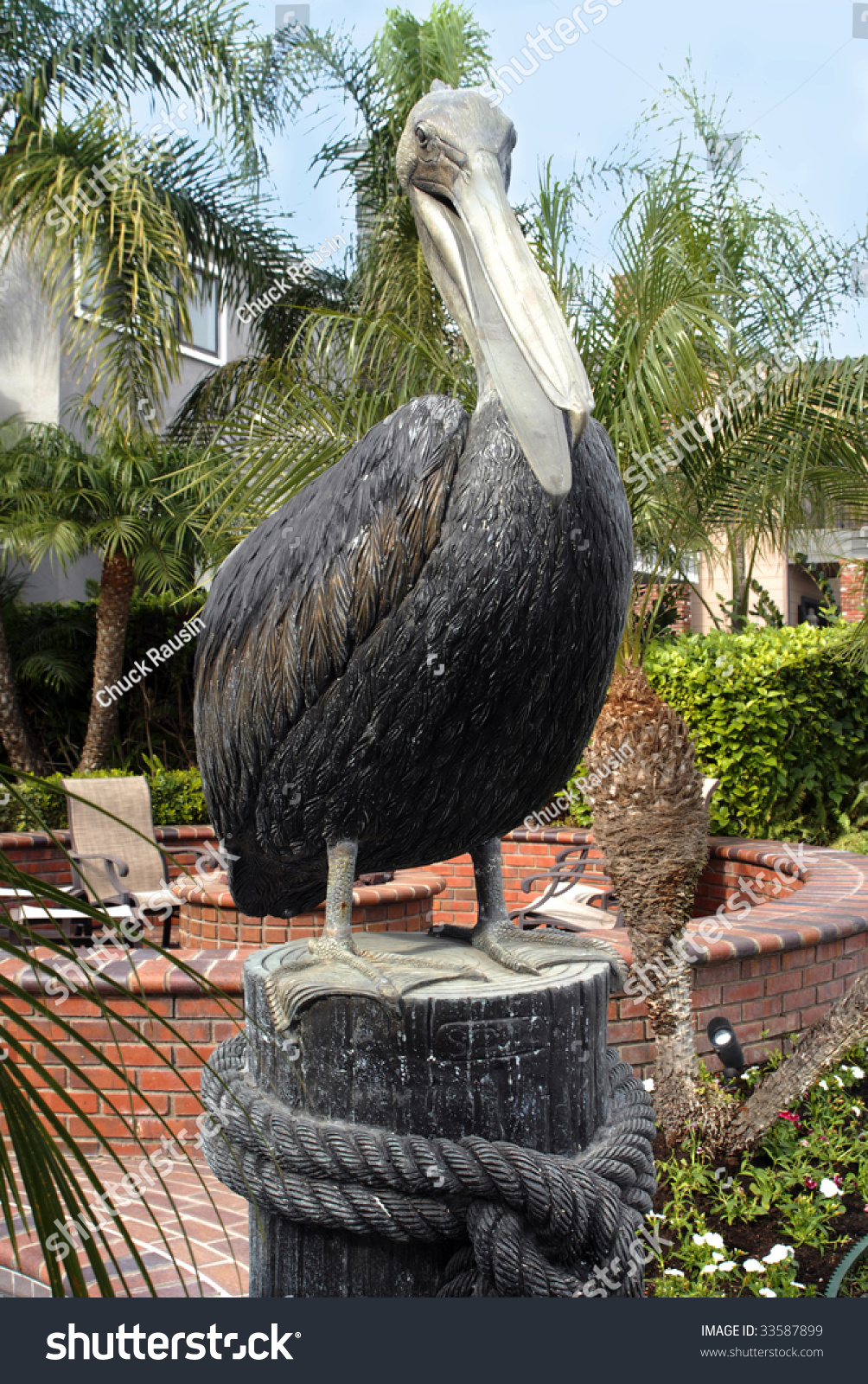 Cocoa Beach Pier >> Pelican Metal Statue Stock Photo 33587899 : Shutterstock Cocoa Beach Pier >> Pelican Metal Statue Stock Photo 33587899 : Shutterstock