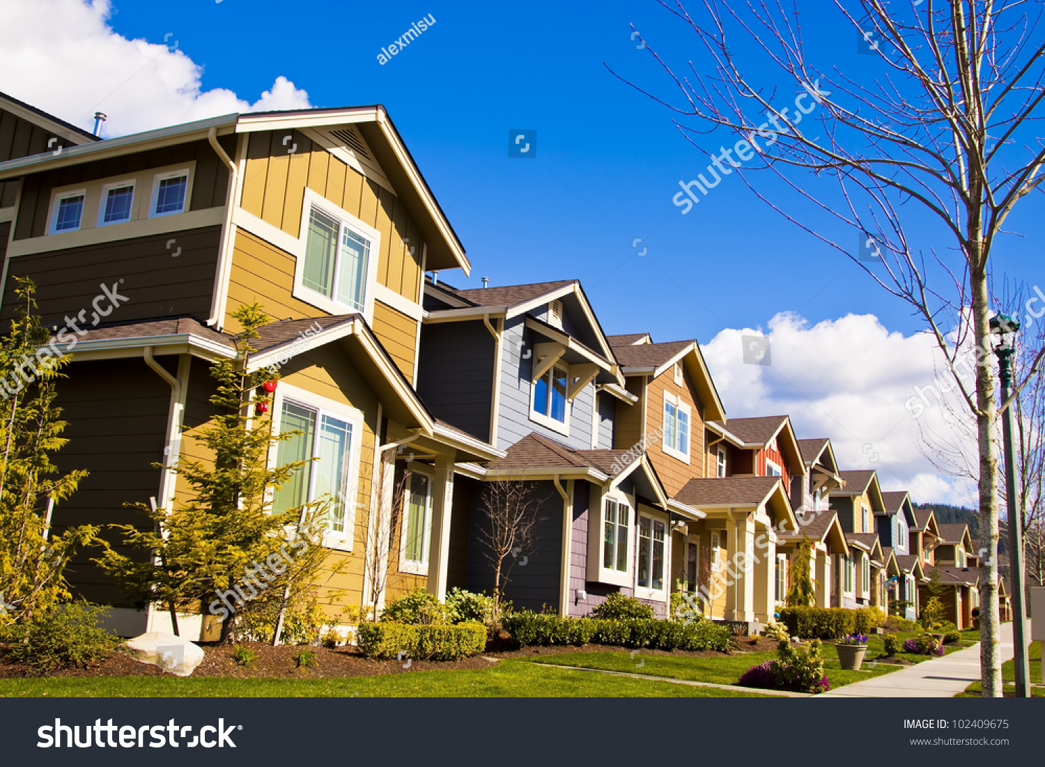 Perfectly Manicured Suburban Street On A Beautiful Sunny Day Stock