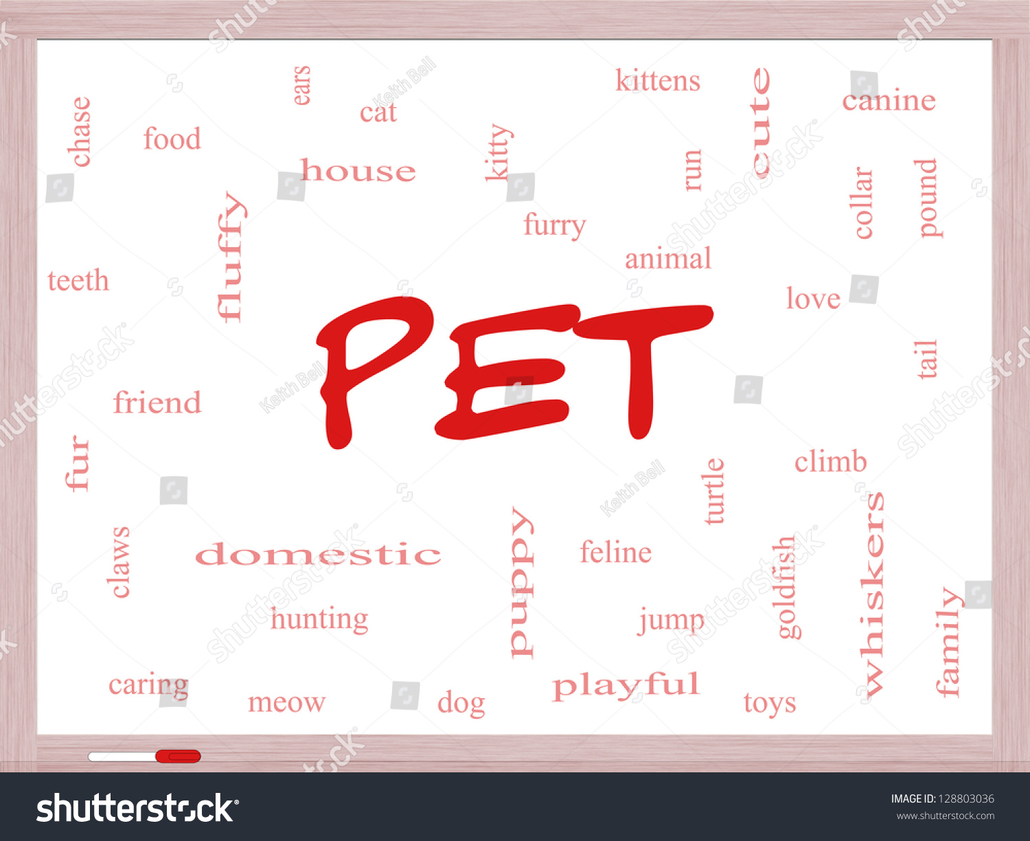 Pet Word Cloud Concept On A Dry Erase Board With Great Terms Such As