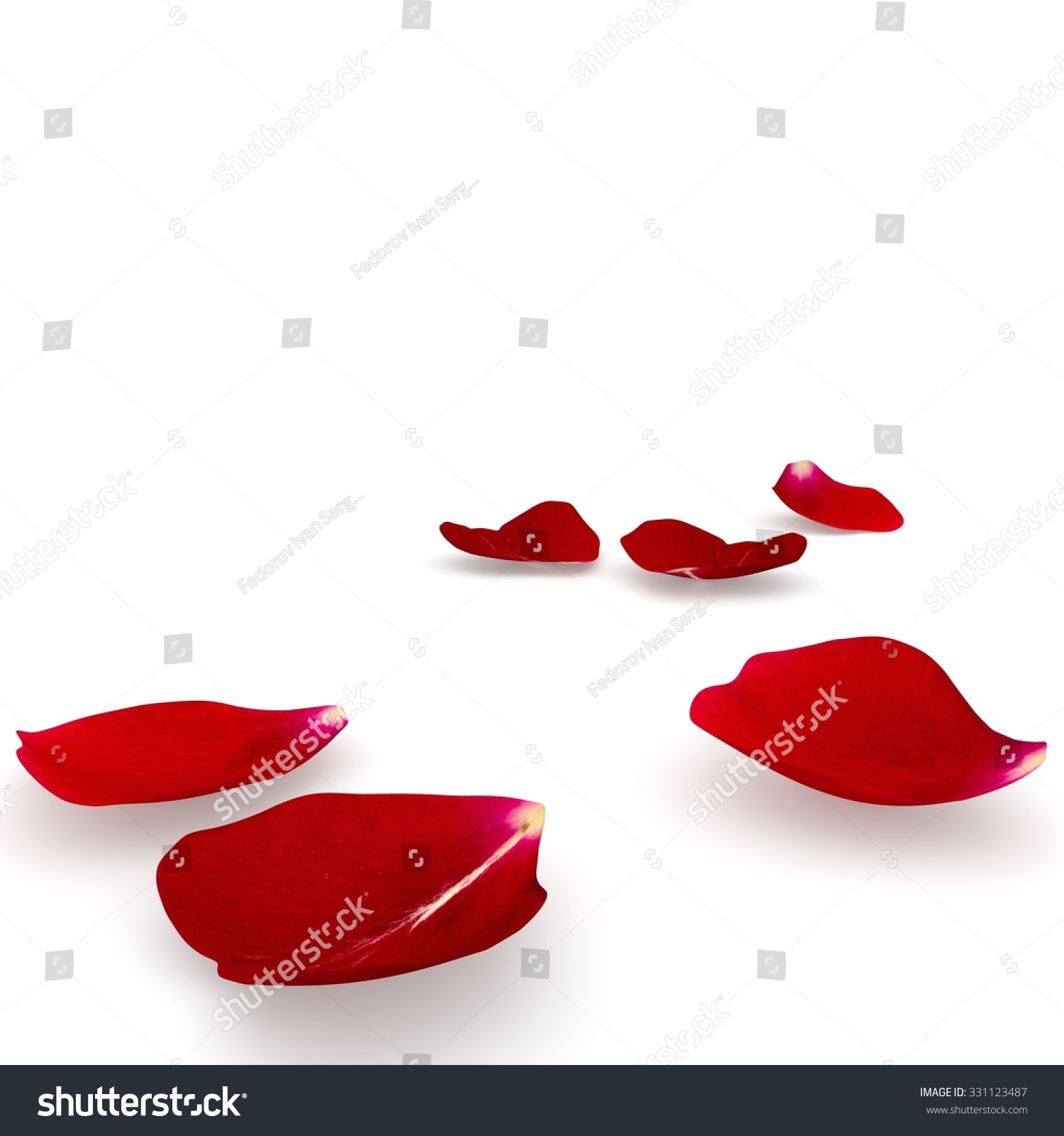 Petals Dark Red Rose Lying On The Floor. Isolated Background. 3d Render