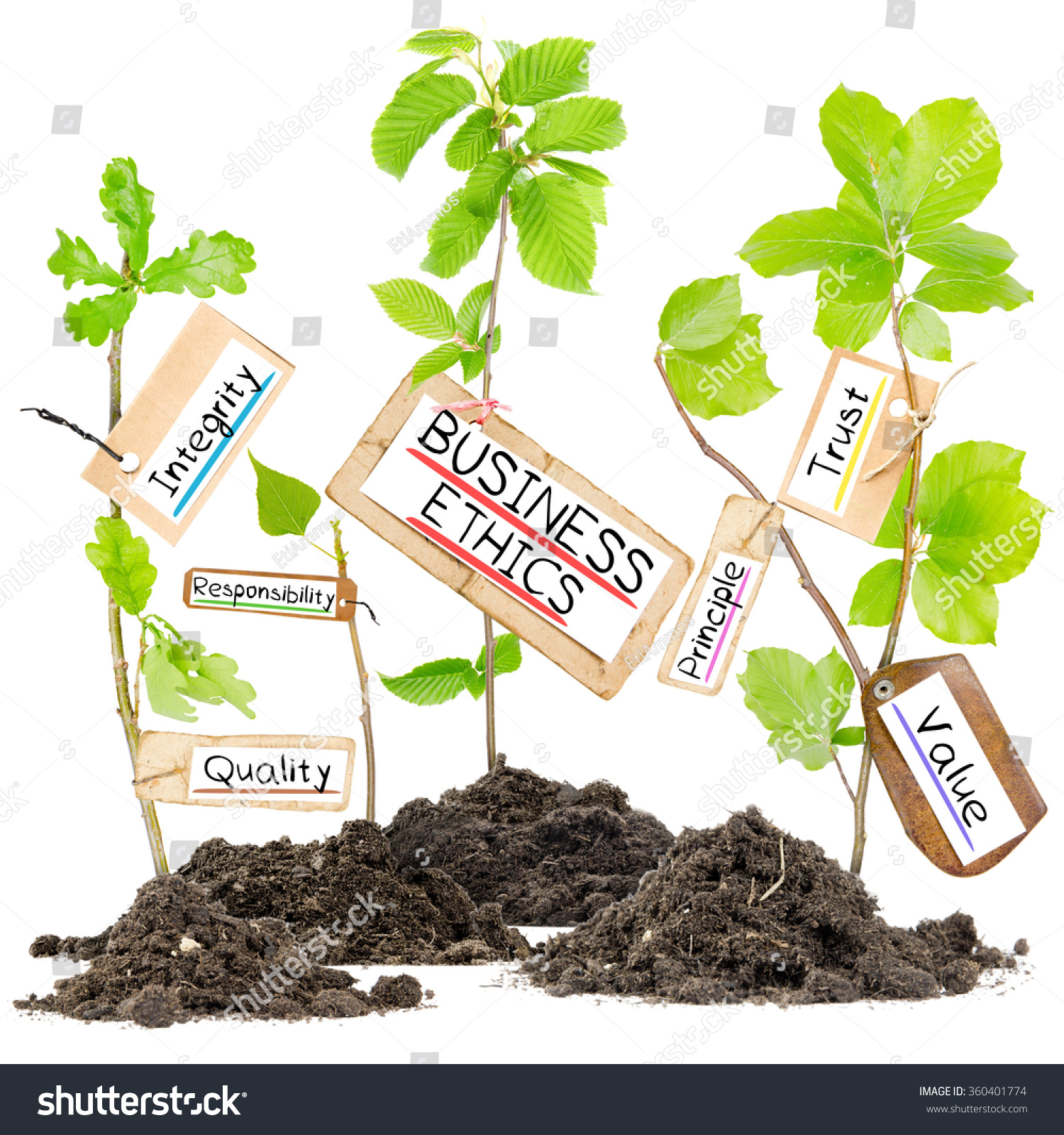 photo-of-plants-growing-from-soil-heaps-with-business-ethics-conceptual