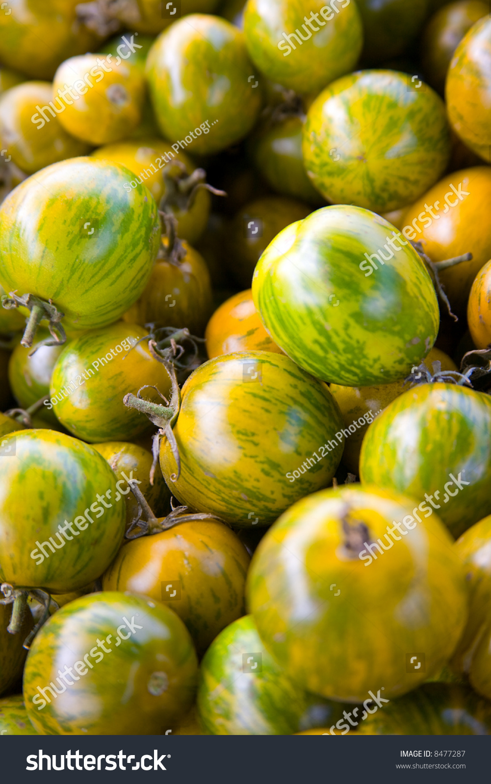 Pile Of Yellow And Green Striped Tomatoes Pile Of Yellow And Green Striped Tomatoes Stock Photo
