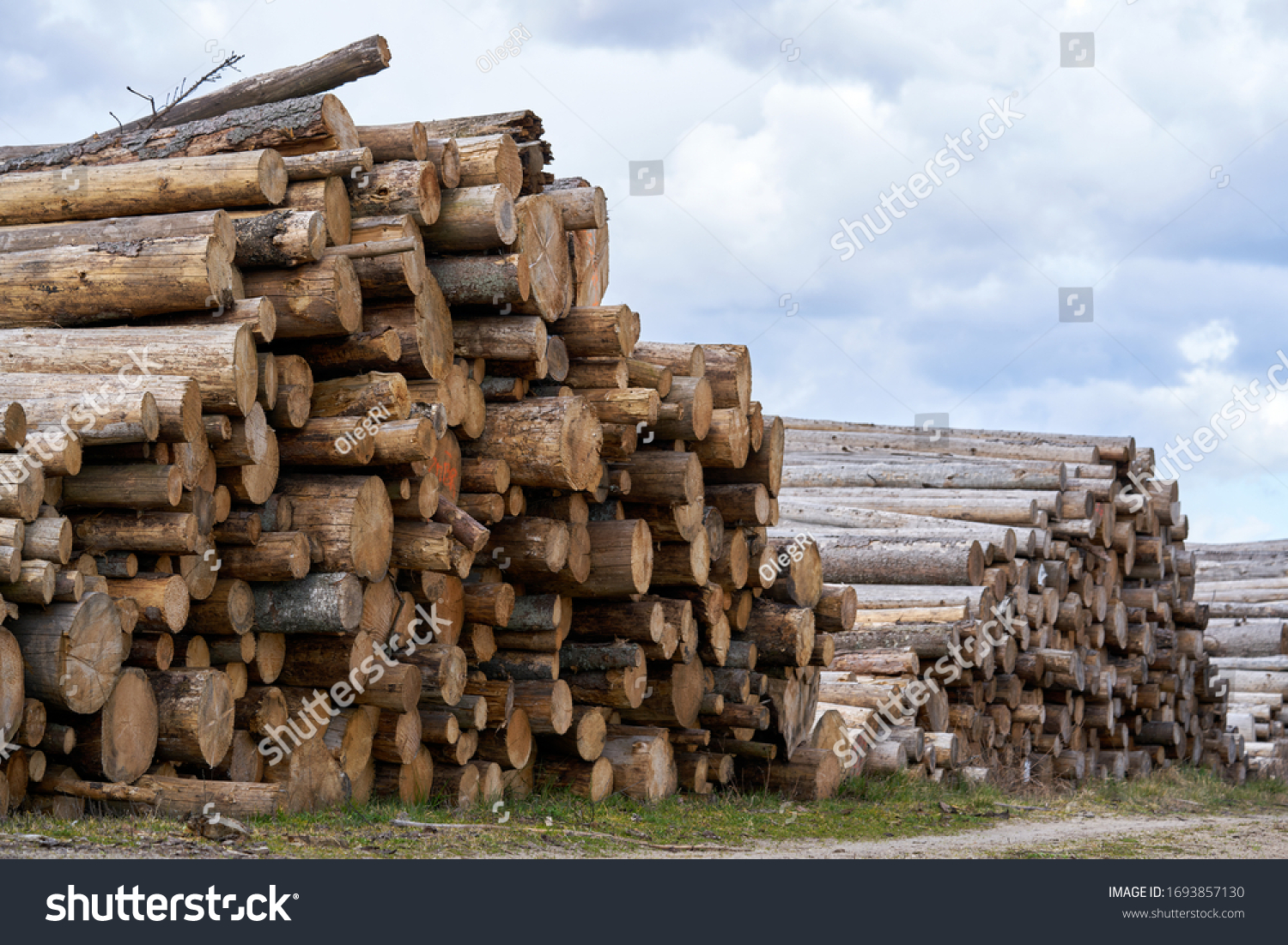 Pile Stacked Natural Sawn Wooden Logs Stock Photo 1693857130 Shutterstock