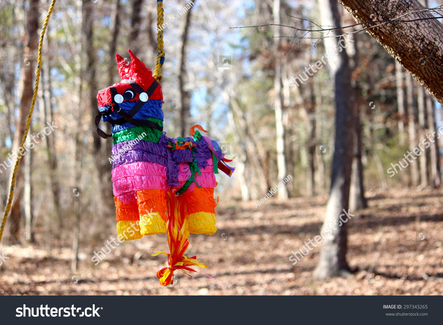 Pinata Hanging From Free Stock Photo 297343265 : Shutterstock