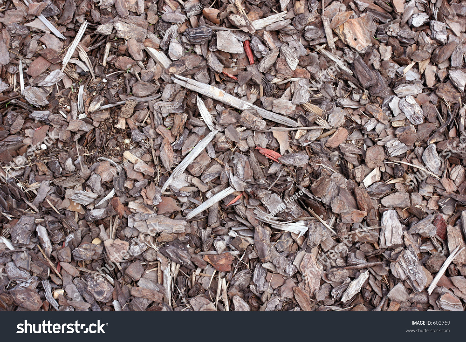 pine mulch problems 28 images mixed bag of sticks pine mulch problems 28 images mixed bag of sticks