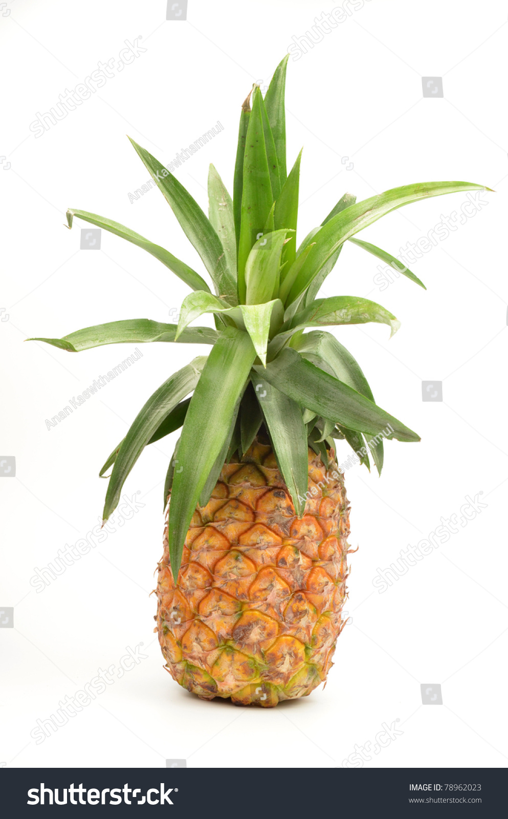 Pineapple Isolated On White Background Stock Photo 78962023 : Shutterstock