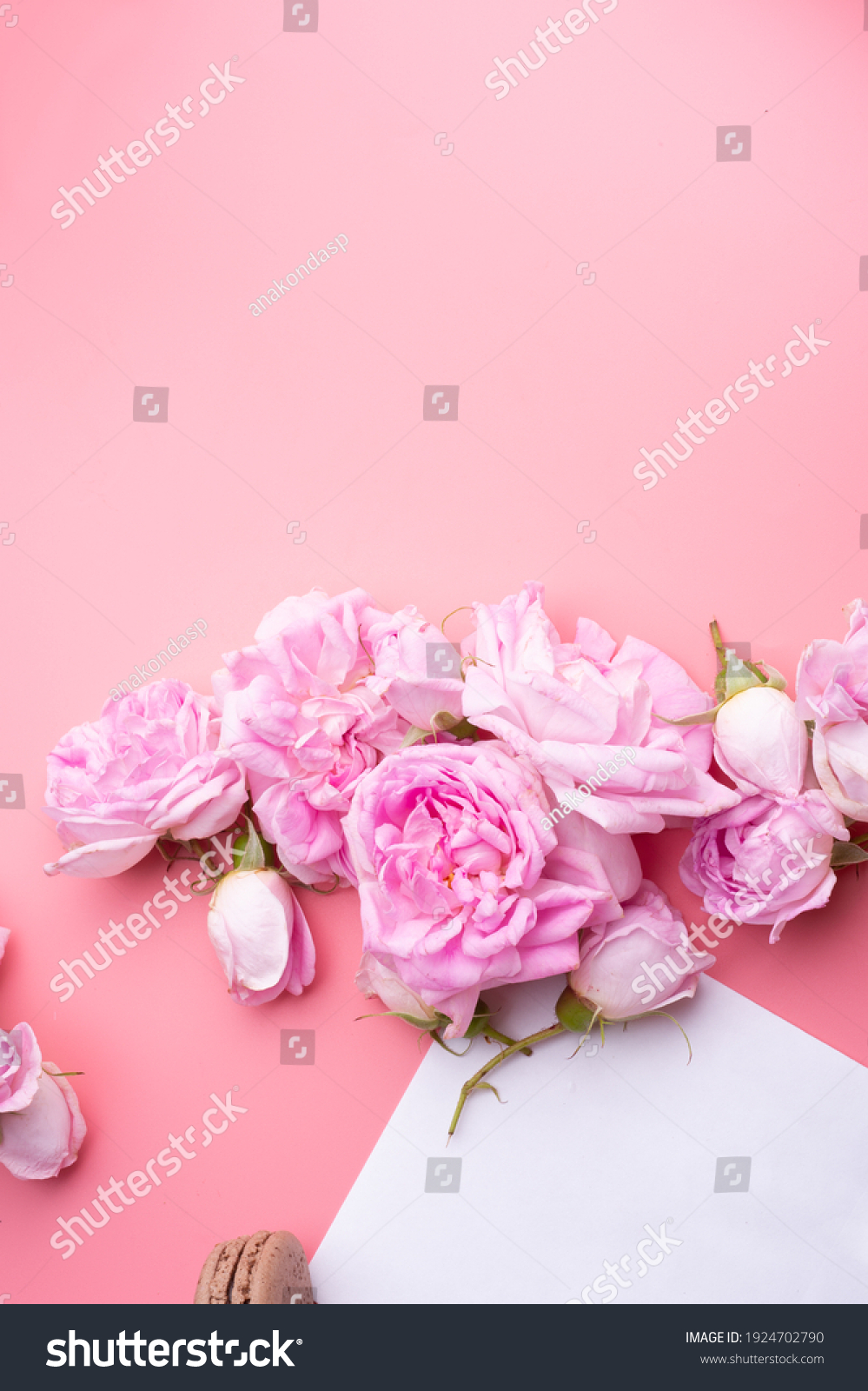 Roses Afbeeldingen Stockfotos En Vectoren Shutterstock