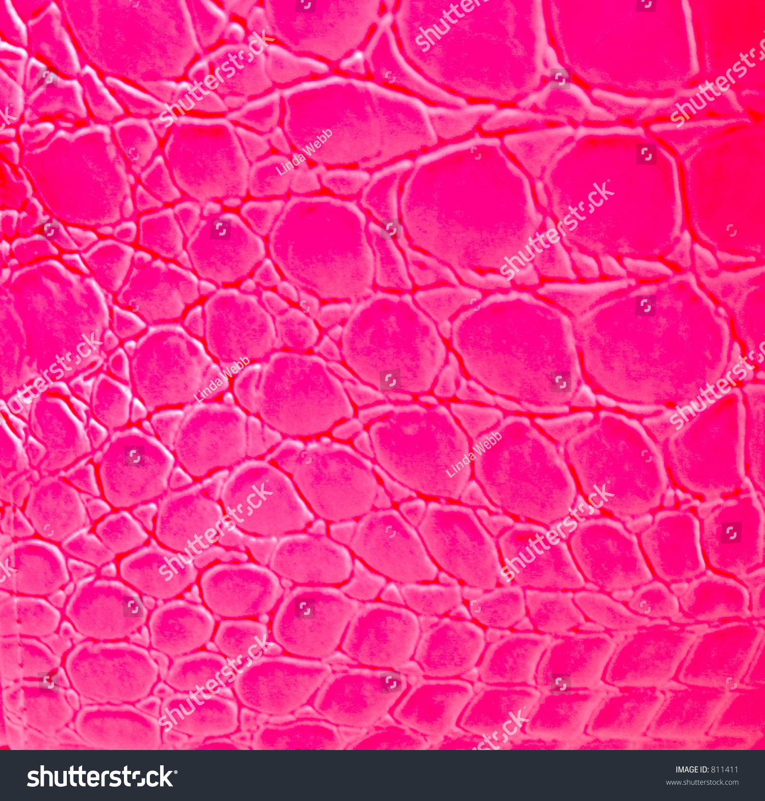 Pink Snakeskin Texture Stock Photo 811411 Shutterstock