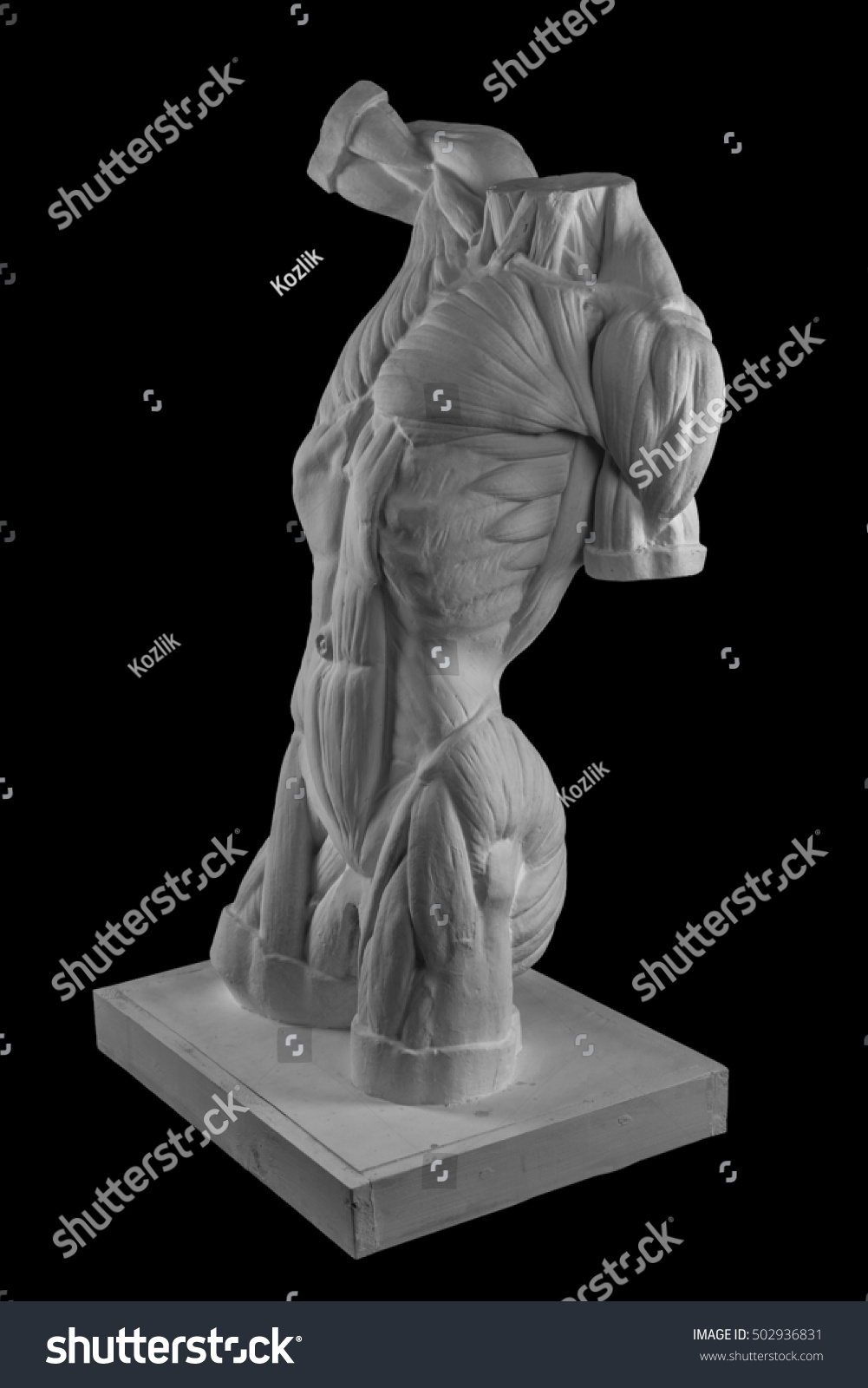 Plaster Statue Naked Man Torso Anatomical Stock Photo Edit Now 502936831