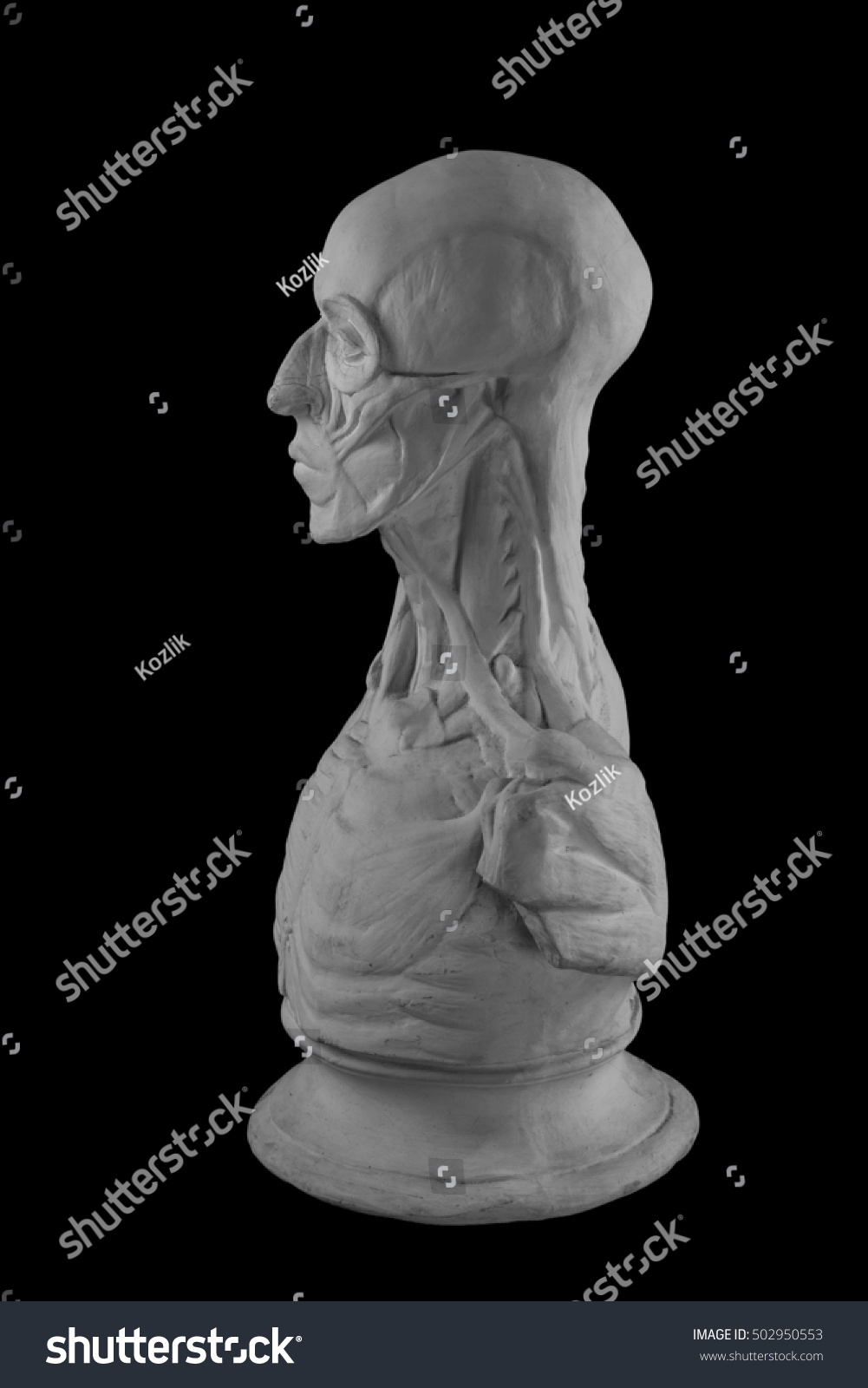 Plaster Statue Naked Man Anatomically Shaped Stock Photo