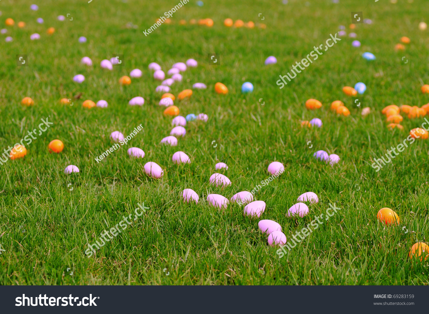 Plastic Easter Eggs Scattered On A Large Expanse Of Lawn