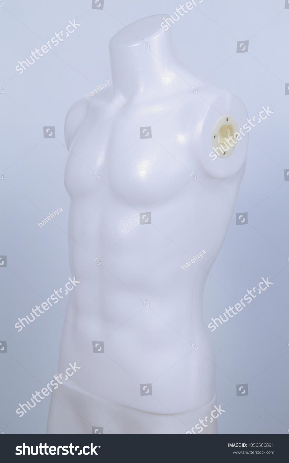 Plastic Male Mannequins Showcases Male Show Stock Photo Edit Now