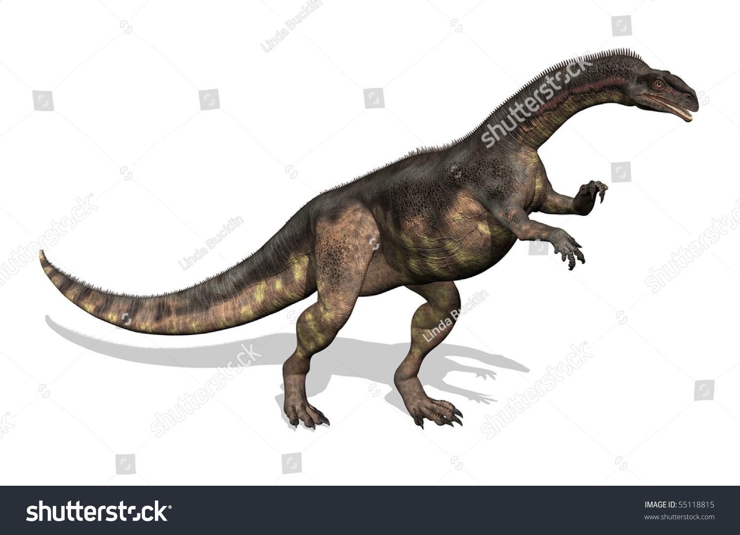 dinosaur with plated head