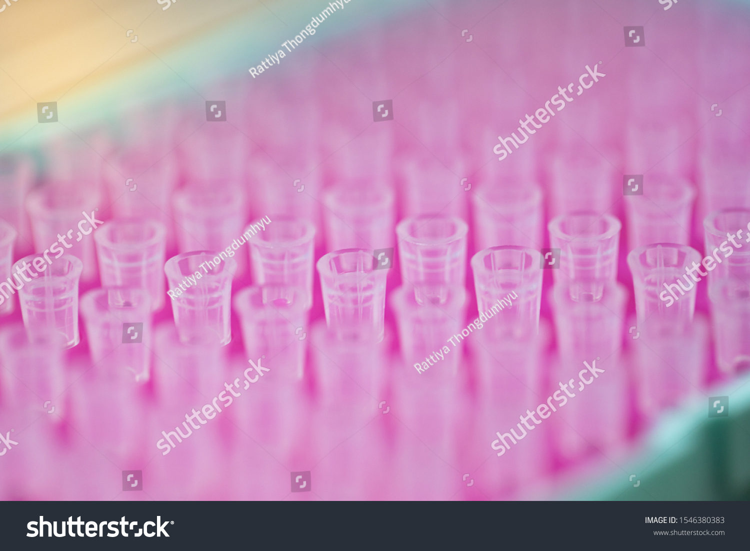 Polymerase Chain Reaction Pcr Agarose Gel Foto Stock 1546380383