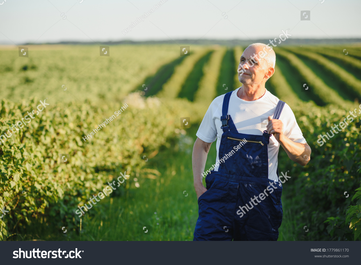 Portrait Happy Mature Older Man Smiling Stock Photo