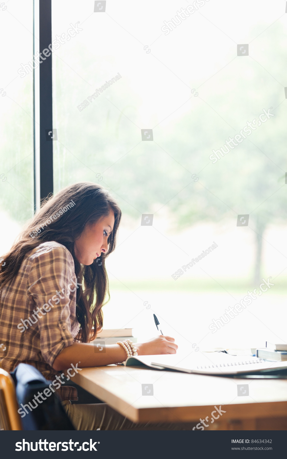 Portrait of a writer essay
