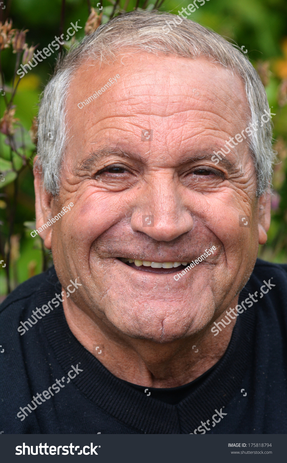 Portrait Happy Mature Man His 70s Foto De Stock 175818794 Shutterstock