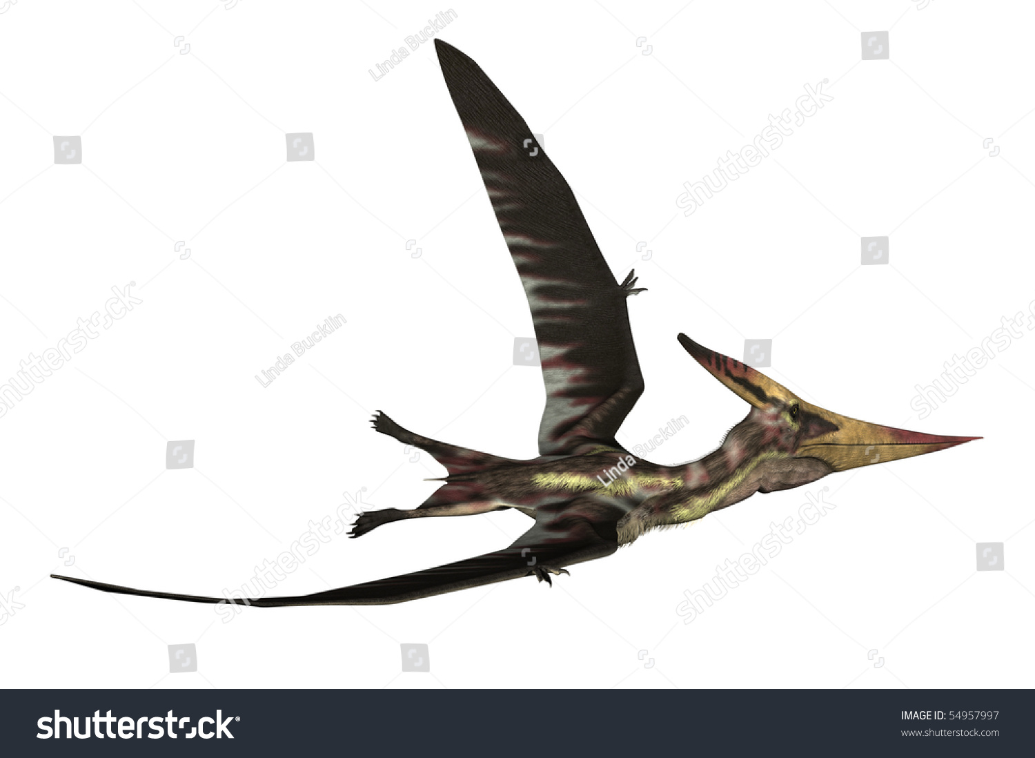 flying prehistoric reptiles