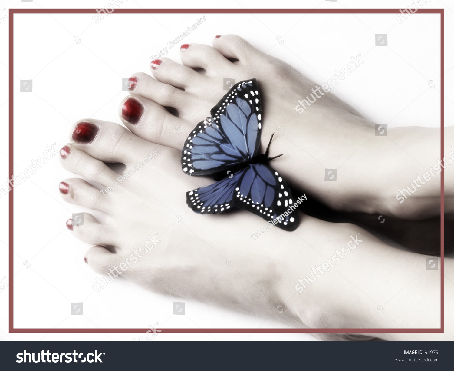 Pretty Feet Stock Photo 94979 : Shutterstock