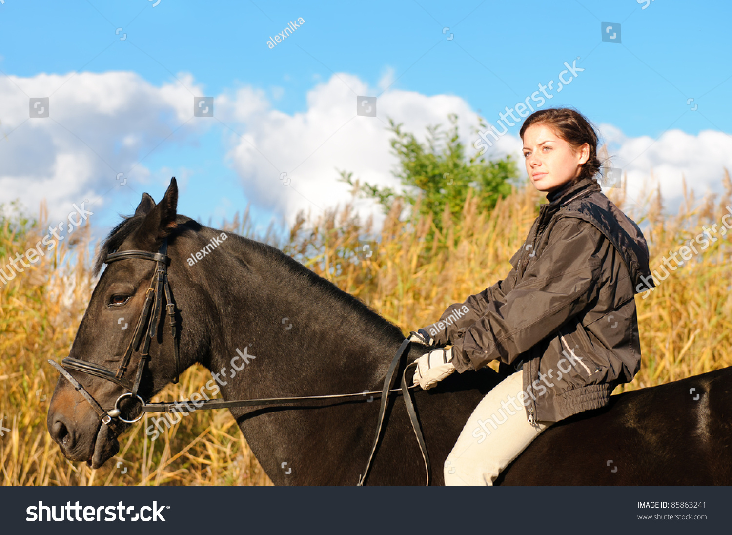 Pretty Girl Riding Horse And Look At View Front Of Reed Stock Photo