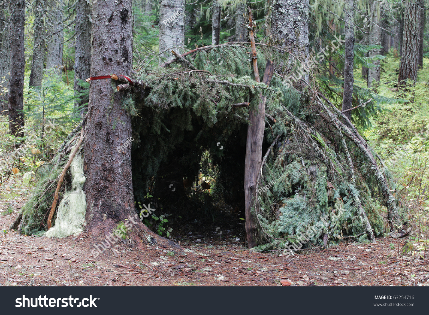 Primitive Survival Shelter Forest Stock Photo Edit Now