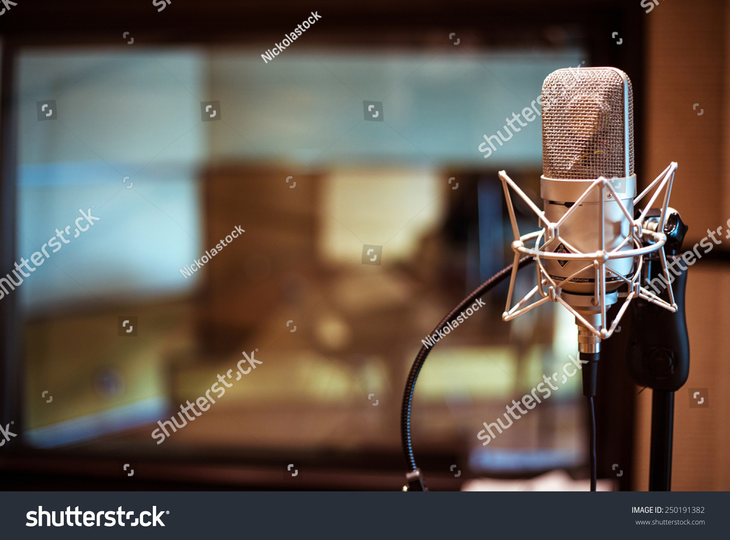Professional condenser studio microphone Professional condenser studio microphone