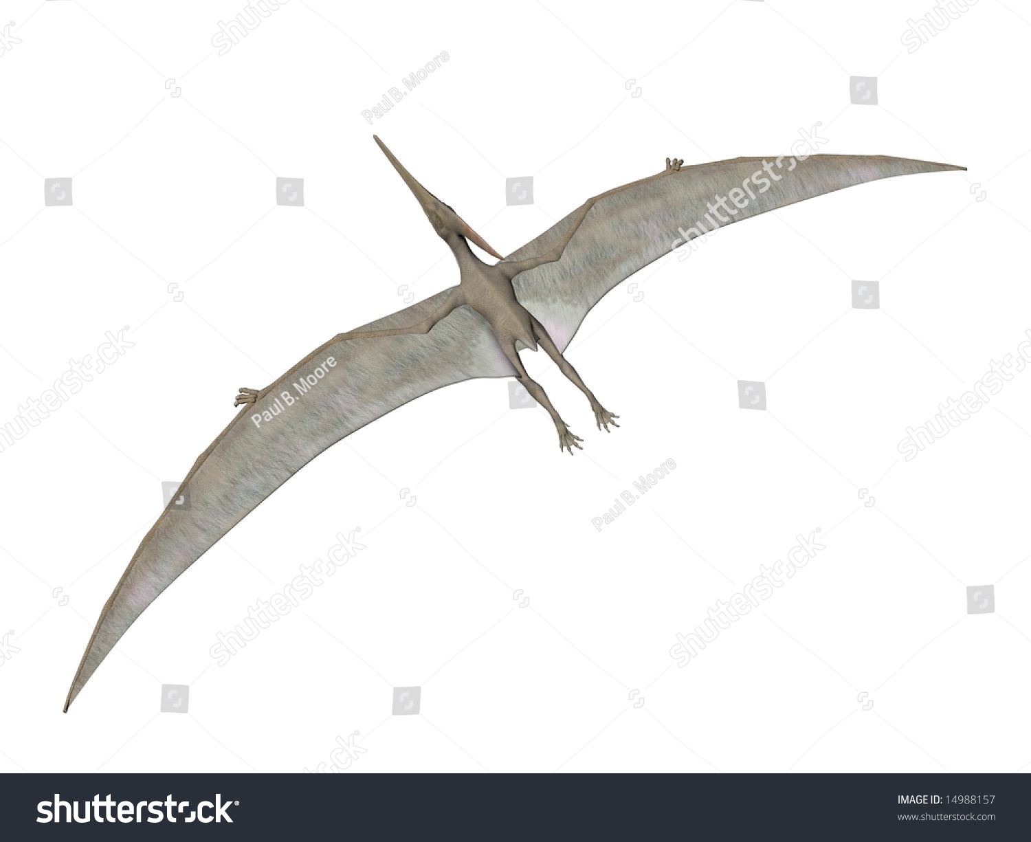 pterodactyl pteranodon